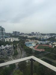 The Rochester Residences (D5), Condominium #38631982